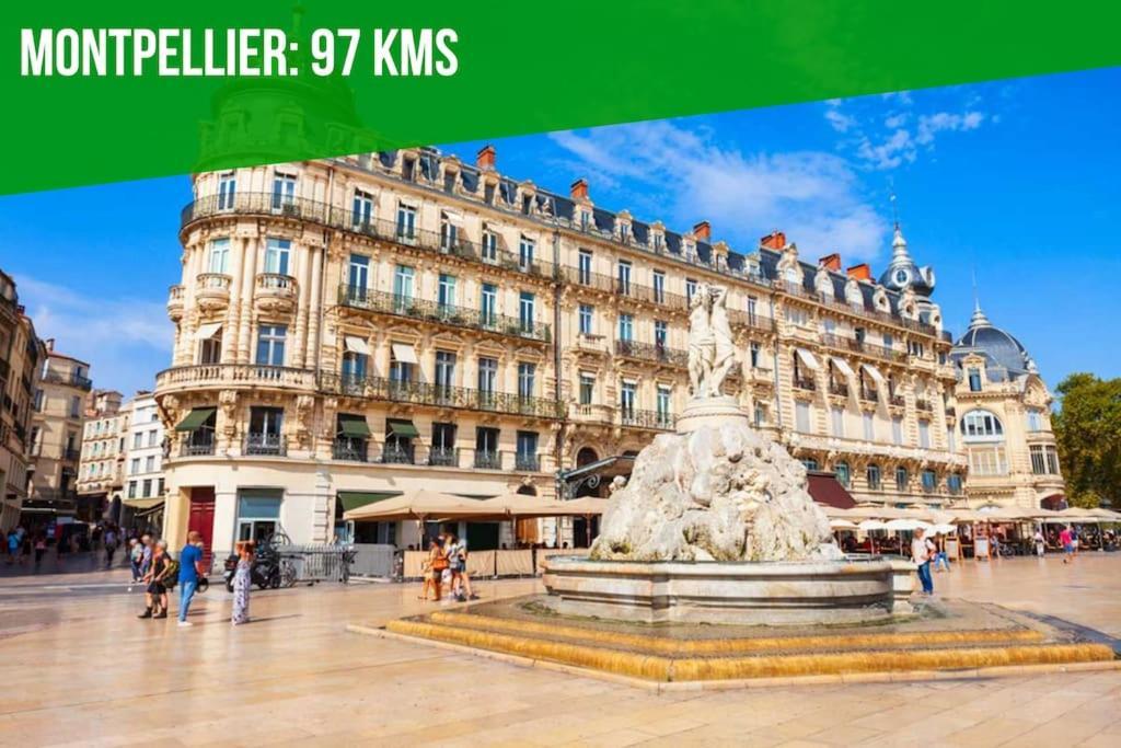 Le Vieux Sextier - Ac Clim - Lumineux - Wifi - Hypercentre Apartment Avignon Bagian luar foto
